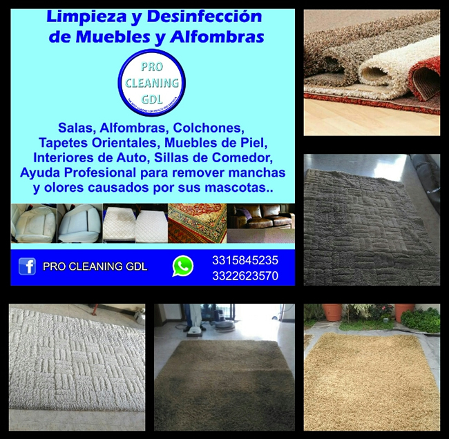 Lavado De Muebles, Colchones, Yates, Alfombras y Autos Service Pro